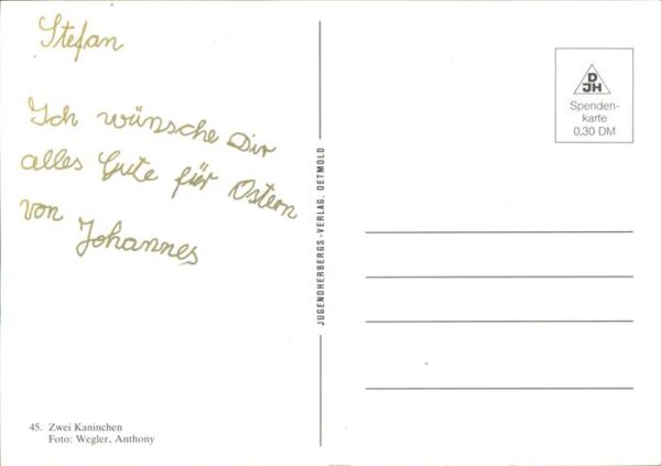 Hasen Kaninchen – Bild 2