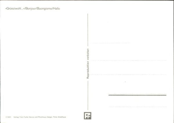 Kuehe – Bild 2