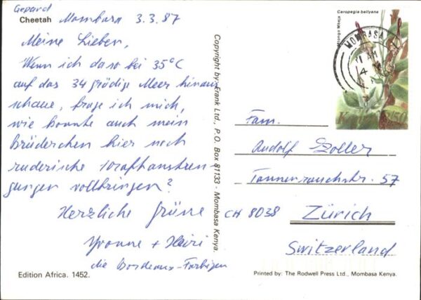 Tiere Gepard Cheetah – Bild 2