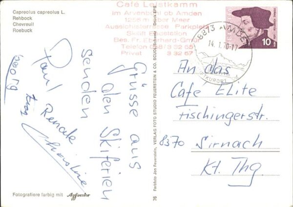 Reh Chereuil Roebuck Rehbock – Bild 2