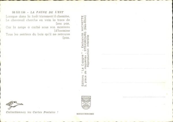 Reh Faune de l'Est – Bild 2