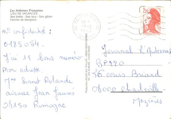 Schweine Wildschweine Ardennes Francaises sangli – Bild 2
