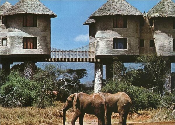 Elefant Salt Lick Afrika