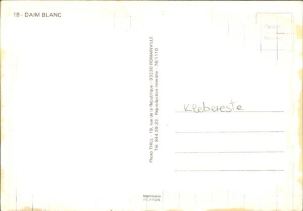 Reh Daim Blanc – Bild 2