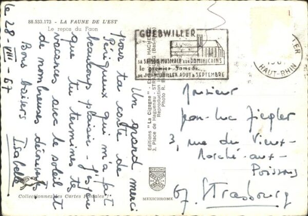 Reh Faune de l'Est – Bild 2