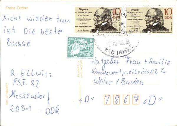 Ziege Ostern Gänseblümchen – Bild 2