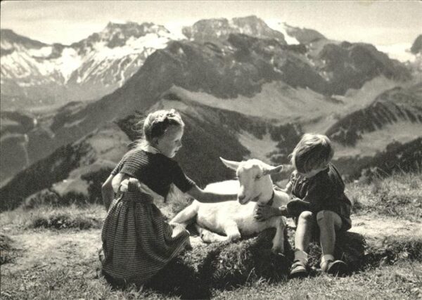 Ziege Kinder