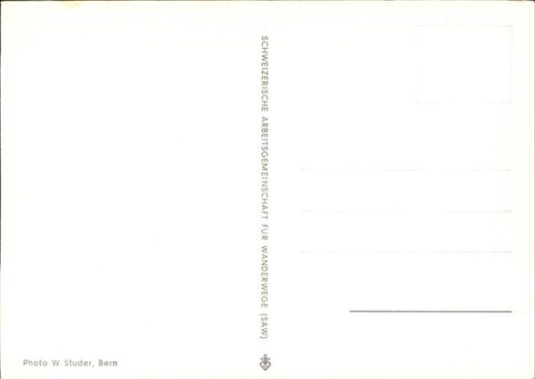 Ziege Kinder – Bild 2