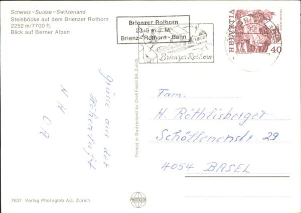 Steinbock Brienzer Rothorn Berner Alpen – Bild 2