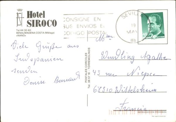 Hunde Palmen Hotel Siroco Benalmadena Costa M – Bild 2