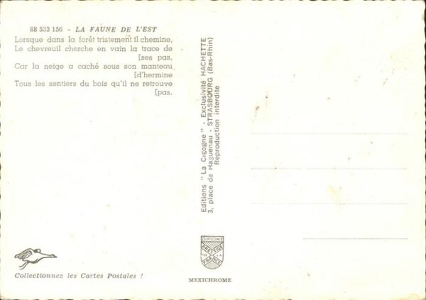 Reh Faune de l'Est – Bild 2