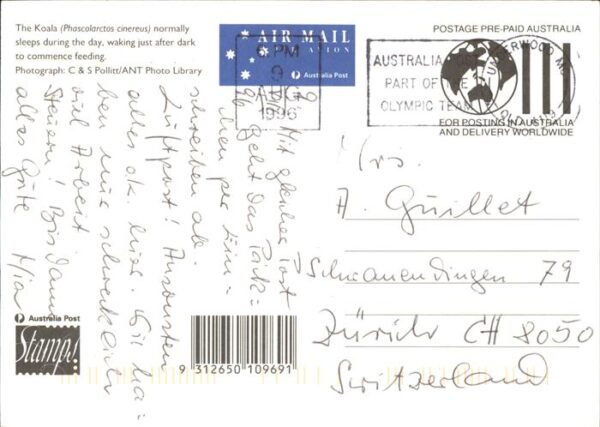 Koalabaer Australien – Bild 2