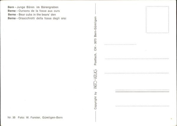 Baeren Bern Bärengraben – Bild 2