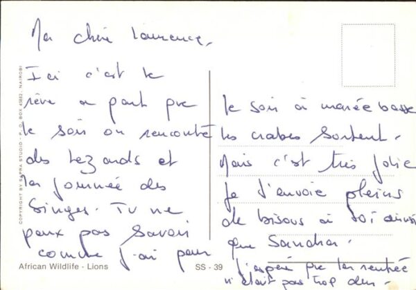 Loewe Afrika – Bild 2