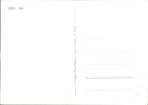 Reh – Bild 2