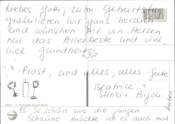 Schwan Jungen – Bild 2