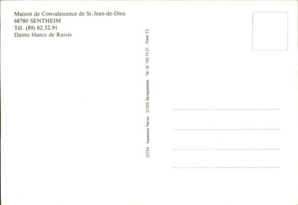 Reh Daims blanc de Russie Sentheim – Bild 2