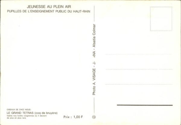 Auerhahn Grand Tetras – Bild 2