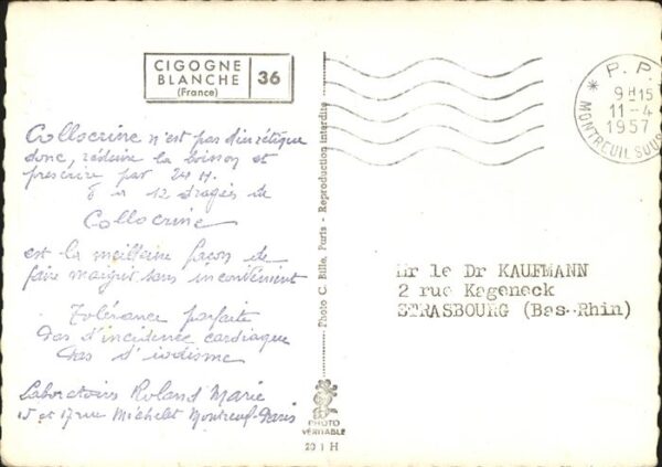 Storch cigogne blanche – Bild 2