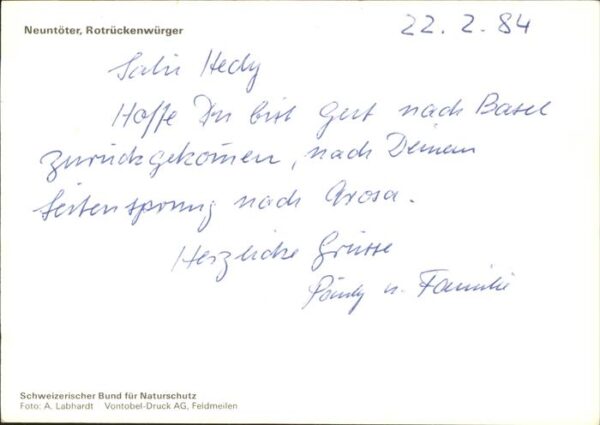 Voegel Neuntöter Rotrückenwürger – Bild 2