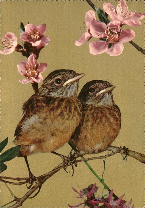 Voegel Blumen