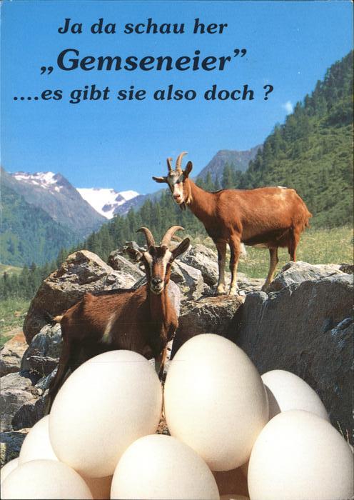 Gemse Gemseneier