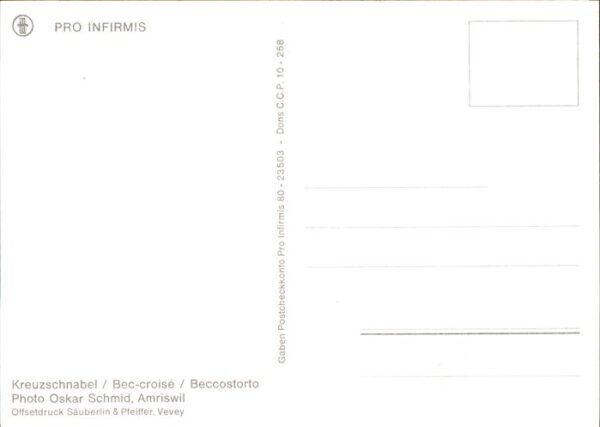 Voegel Kreuzschnabel Bec-croise Beccostorto – Bild 2
