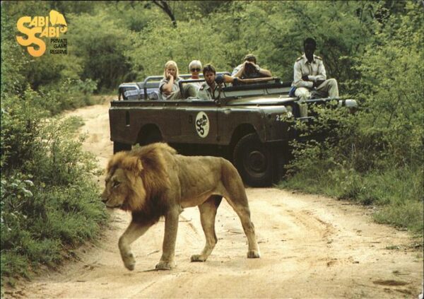 Loewe Sabi Sabi Private Game Reserve