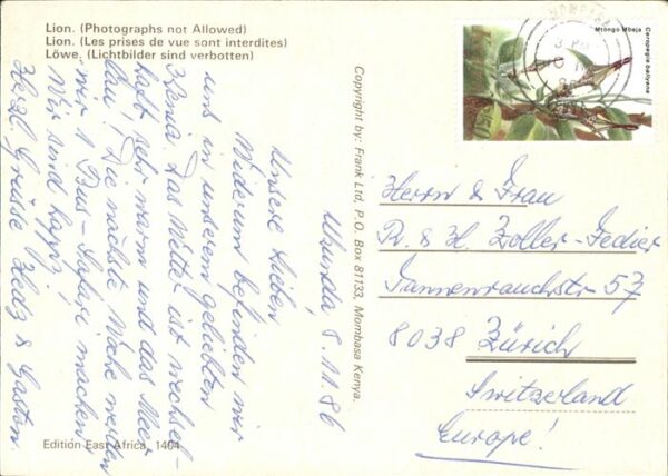 Loewe Lion Afrika – Bild 2