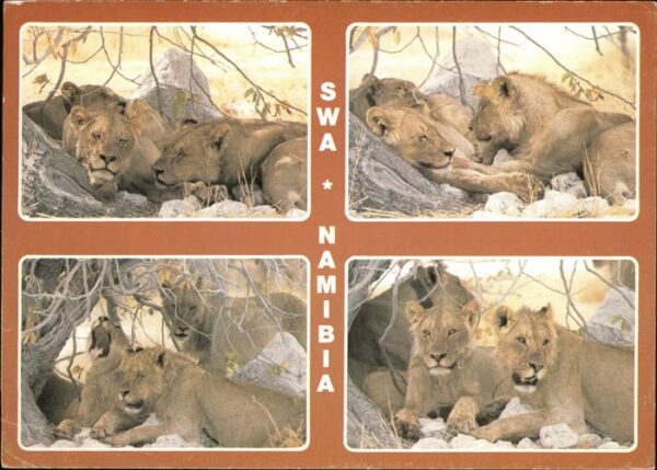Loewe Etosha Swa-Namibia