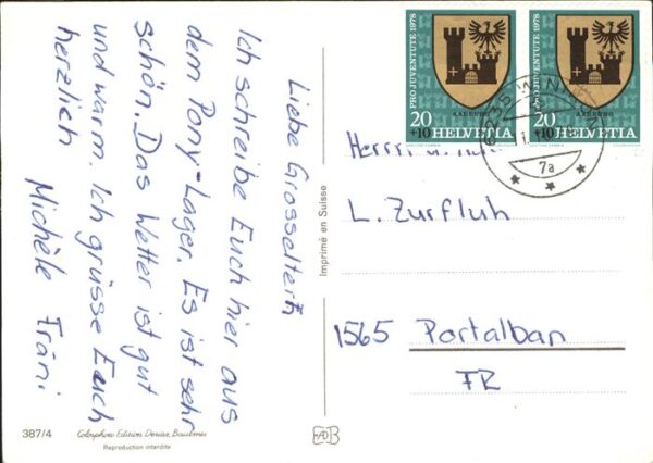 Pferde – Bild 2