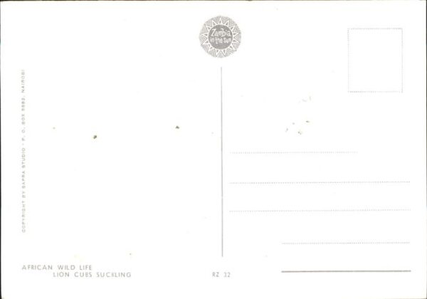 Loewe Afrika – Bild 2