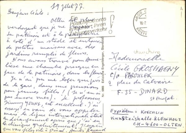 Schweine – Bild 2