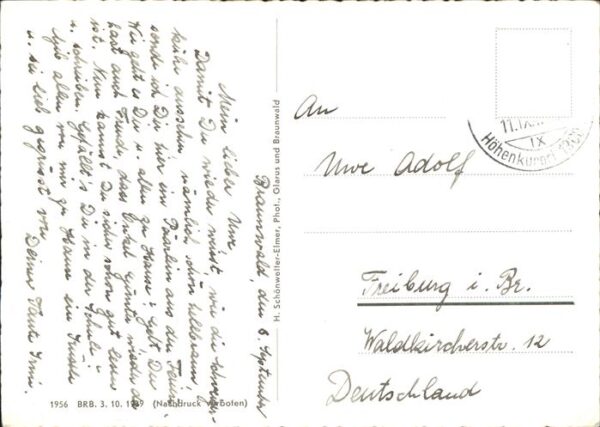 Kuehe Braunwaldalp – Bild 2