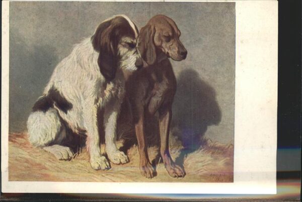 Kuenstlerkarte A. de Dreux Jagdhunde Kunstpostkartenka
