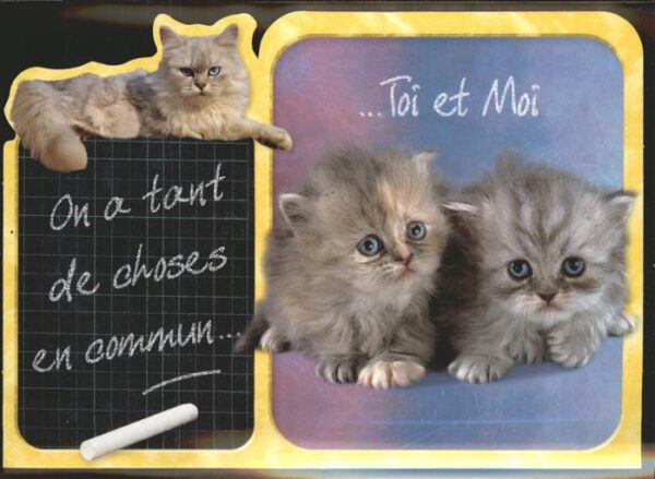 Katzen Schultafel Kreide