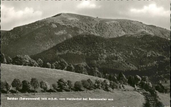 Badenweiler Belchen Blick vom Haldenhof