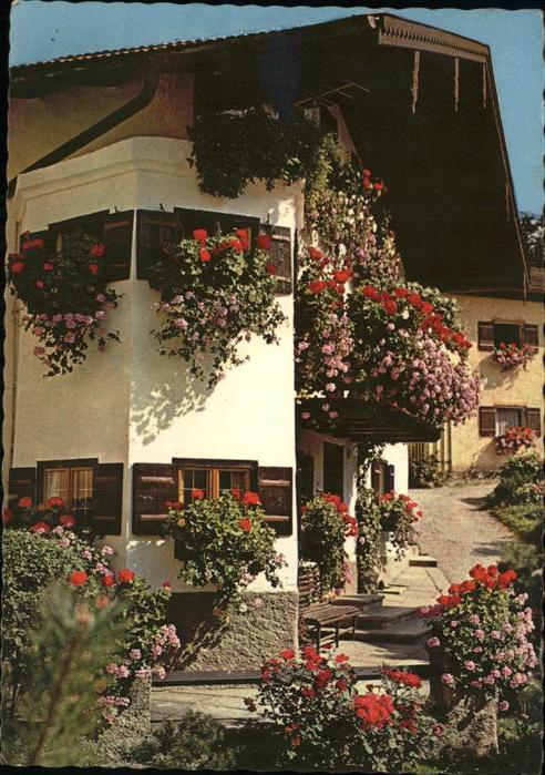 Neubeuern Blumenhaus