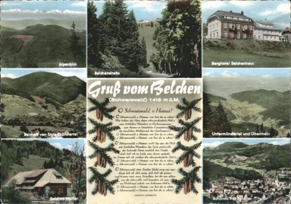 Belchen Baden Alpenblick Untermünstertal Multen Schön