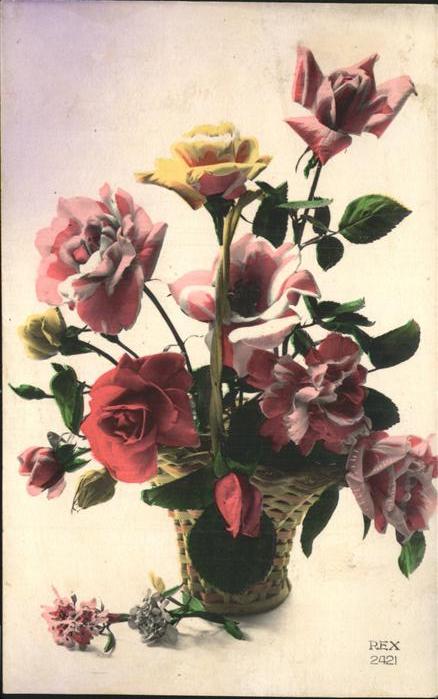 Rosen
