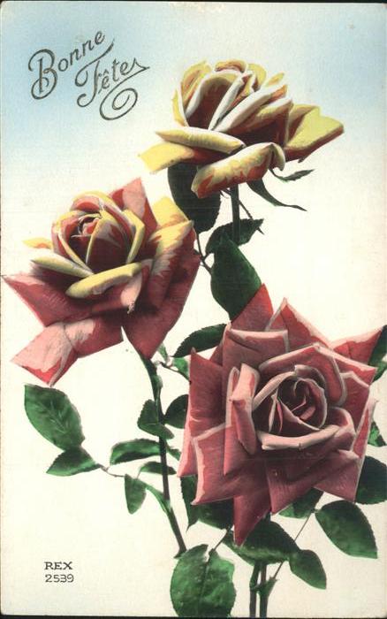 Rosen