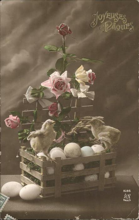 Rosen Küken Ostern