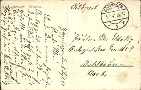Edelweiss Edelvais Feldpost – Bild 2