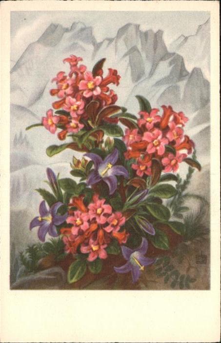 Blumen