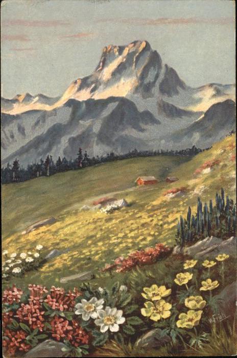 Kuenstlerkarte W. Früh Blumen Berge
