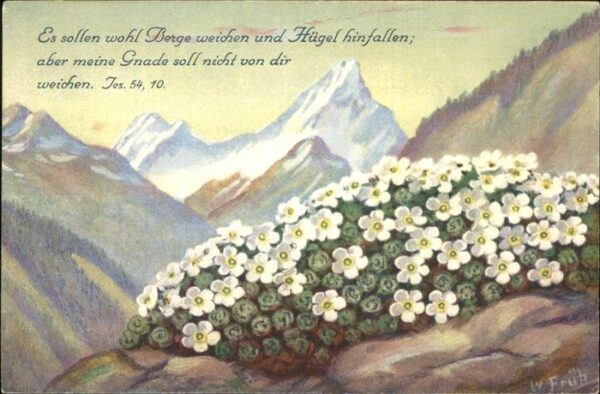 Kuenstlerkarte W. Früh Nr. 630 Schweizer Mannsschild