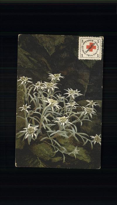 Edelweiss Mülhausen Feldpost