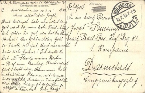 Edelweiss Mülhausen Feldpost – Bild 2