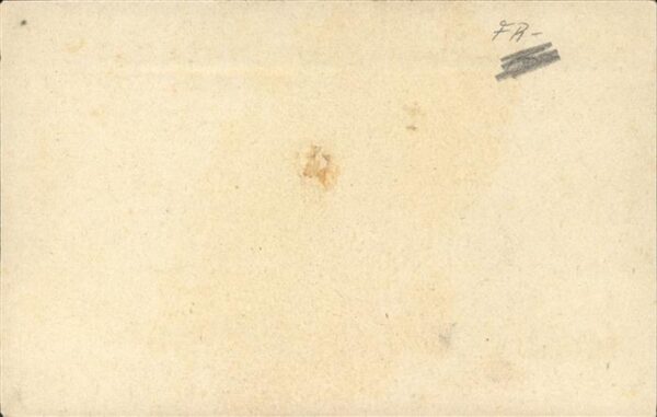 Storch Alsace Nid de cigognes – Bild 2