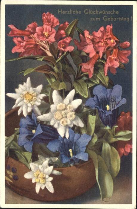 Blumen Geburtstag Edelweiss
